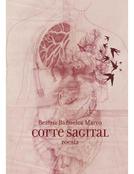 Corte Sagital
