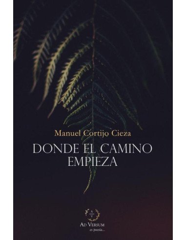 Donde el camino empieza