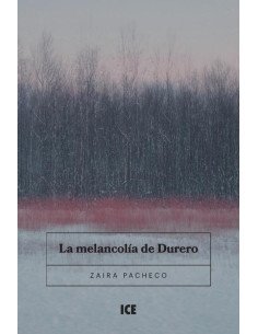 La Melancolía de Durero