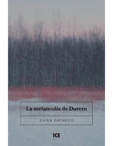 La Melancolía de Durero