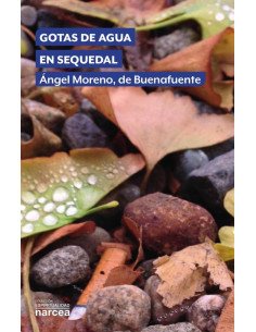 Gotas de agua en sequedal