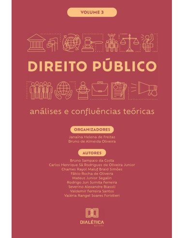 Direito Público - análises e confluências teóricas:Volume 3