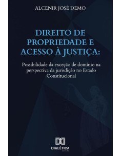 Direito de Propriedade e acesso à Justiça:possibilidade da exceção de domínio na perspectiva da jurisdição no Estado Constitucional