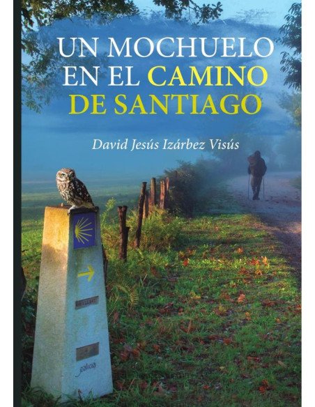 Un mochuelo en el camino de Santiago