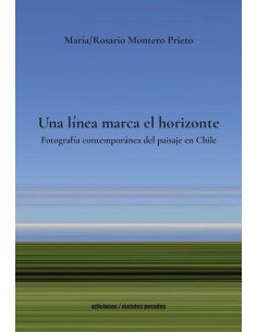 Una línea marca el horizonte:Fotografía contemporánea del paisaje en Chile