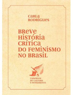 Breve história crítica do feminismo no Brasil