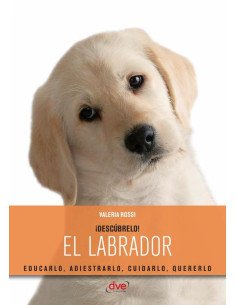 El labrador