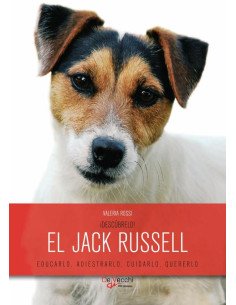 ¡Descúbrelo! El Jack Russell