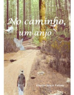 No Caminho, Um Anjo