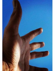 Os Regalos Da Azanha