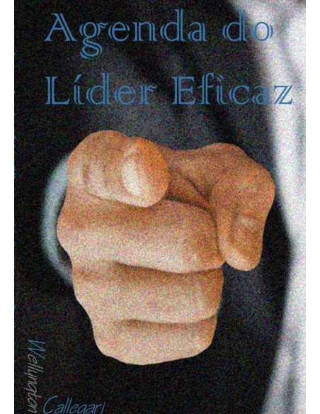 Agenda Do Líder Eficaz