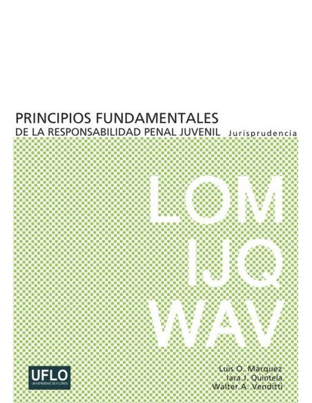 Principios fundamentales de la responsabilidad penal juvenil