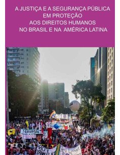 A Justiça E A Segurança Pública Em Proteção Aos Direitos Humanos No Brasil E Na América Latina