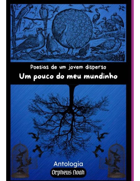 Poesias De Um Jovem Disperso:Um pouco do meu mundinho