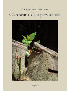 Claroscuros de la persistencia