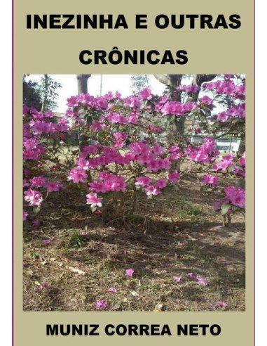 Inezinha E Outras Crônicas