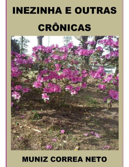 Inezinha E Outras Crônicas