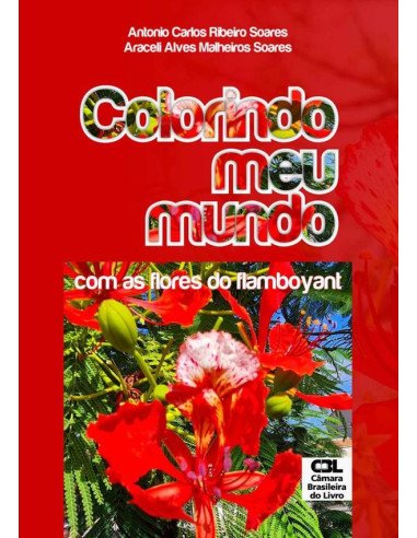 Colorindo Meu Mundo:com as flores do flamboyant