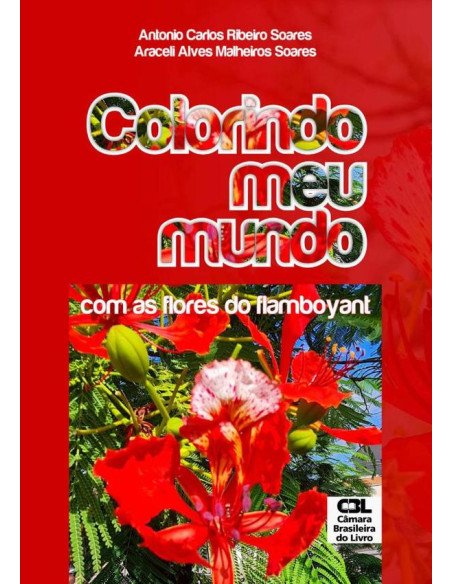 Colorindo Meu Mundo:com as flores do flamboyant