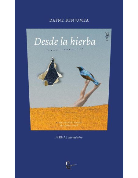 Desde la hierba