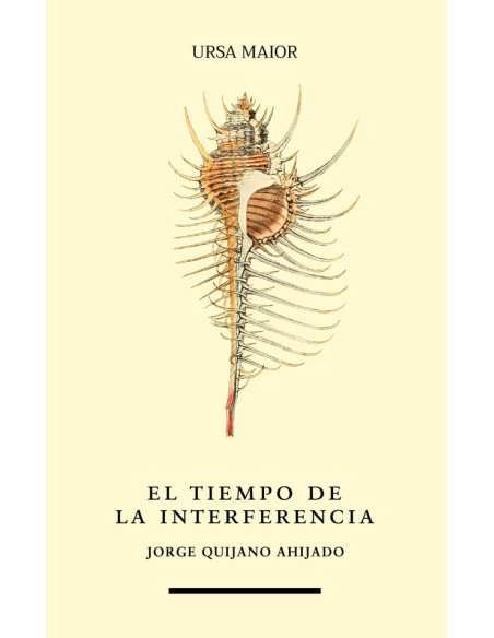 El tiempo de la interferencia
