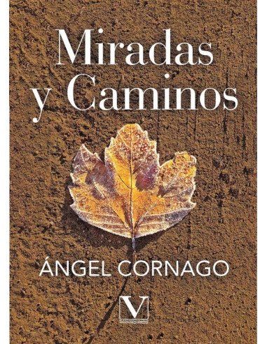 Miradas y caminos