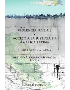 Violencia juvenil y acceso a la justicia.:Tomo I. América Latina
