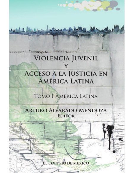 Violencia juvenil y acceso a la justicia.:Tomo I. América Latina