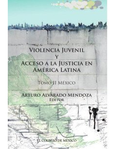 Violencia juvenil y acceso a la justicia.:Tomo II. México