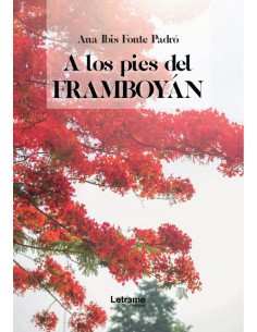 A los pies del framboyán