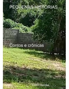 Pequenas Histórias:Contos e crônicas
