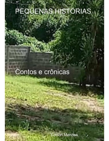 Pequenas Histórias:Contos e crônicas
