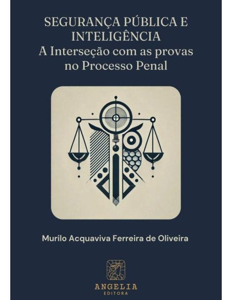 Segurança Pública E Inteligência::a interseção com as provas no processo penal