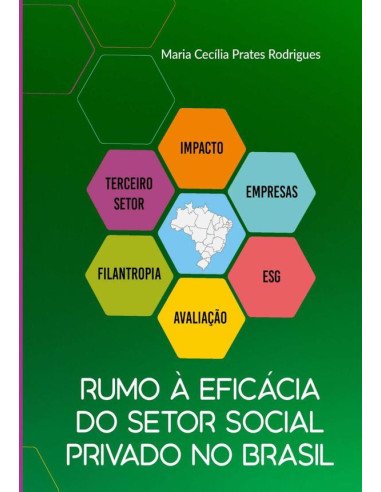 Rumo À Eficácia Do Setor Social Privado No Brasil