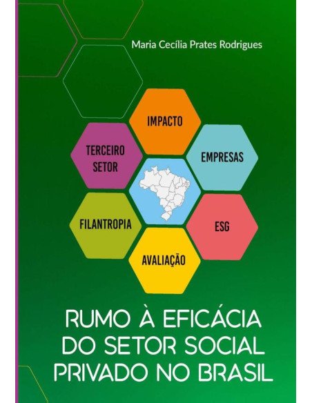 Rumo À Eficácia Do Setor Social Privado No Brasil