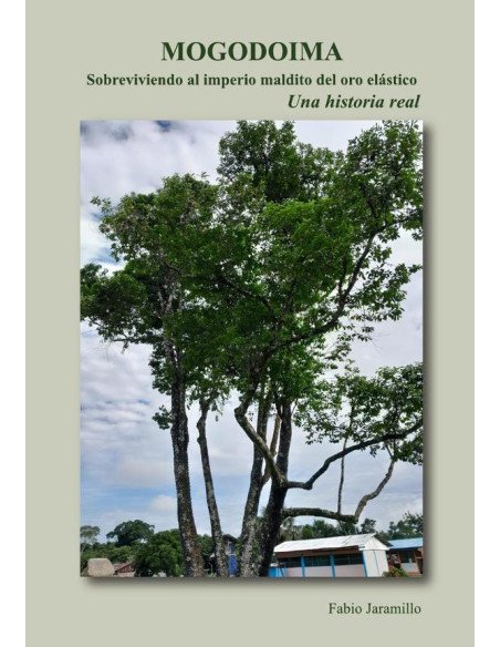 Mogodomia Sobreviviendo al imperio maldito del oro elástico