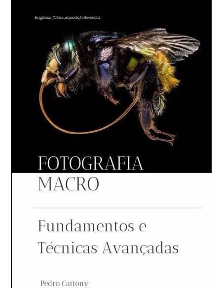 Fotografia Macro:Fundamentos e Técnicas Avançadas