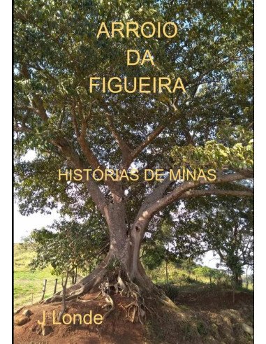 Arroio Da Figueira:HISTÓRIAS DE MINAS