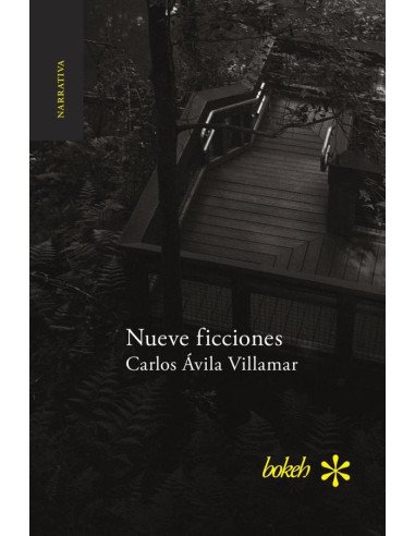 Nueve ficciones