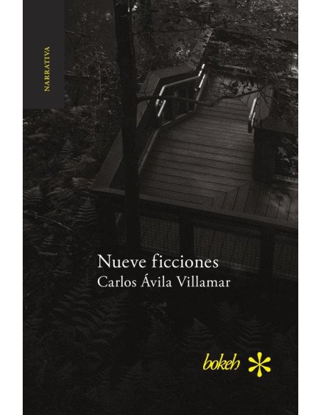 Nueve ficciones