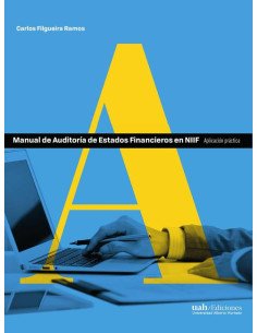 Manual de Auditoría de Estados Financieros en NIIF:Aplicación práctica