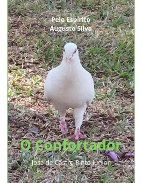 O Confortador