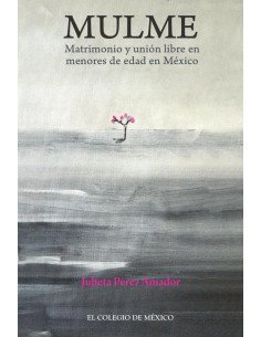 Mulme.:Matrimonio y unión libre en menores de edad en México