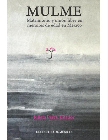 Mulme.:Matrimonio y unión libre en menores de edad en México