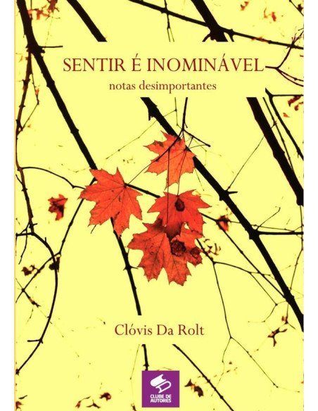 Sentir É Inominável:Notas desimportantes