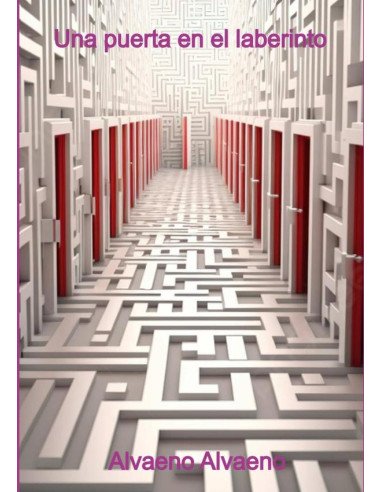 Una Puerta En El Laberinto