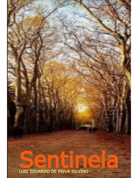 Sentinela:Uma viagem entre canções