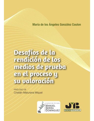 Desafíos de la rendición de los medios de prueba en el proceso y su valoración