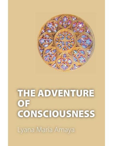 The Adventure of Consciousness