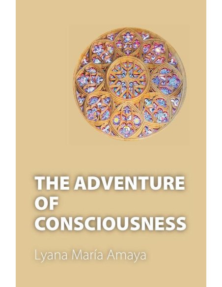 The Adventure of Consciousness